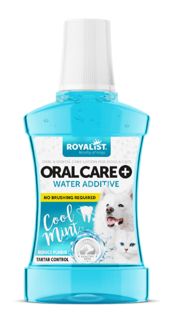 Royalist Cool Mint 250 ml Kedi Köpek Ağız Bakım Suyu