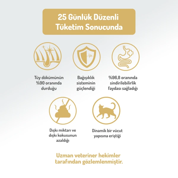 Felicia Kolajen Destekli Hipoalerjenik Kuzulu Yavru ve Anne Kedi Maması 12 kg