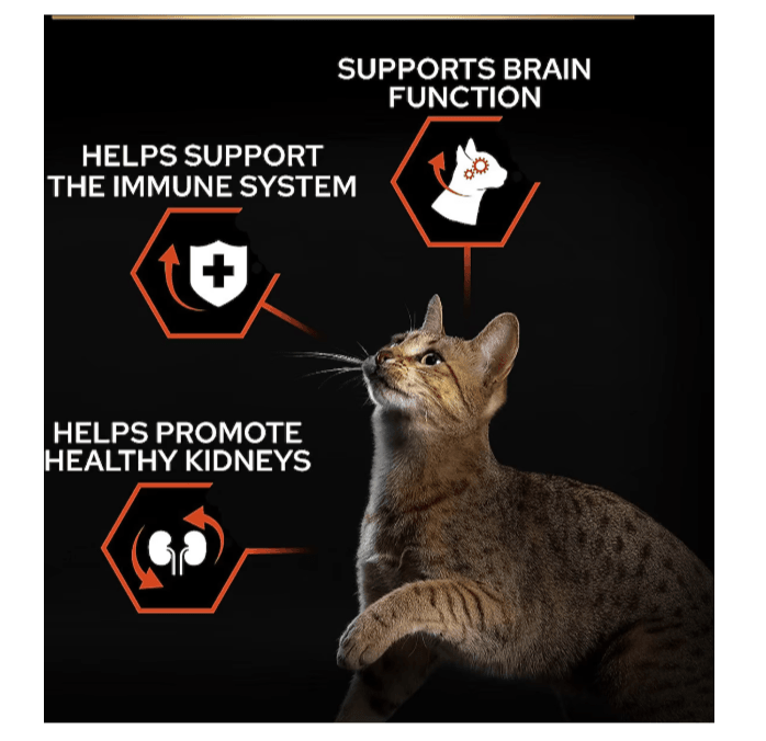 Pro Plan Sterilised Somonlu Kısırlaştırılmış Kedi Maması 10 Kg Renal Plus