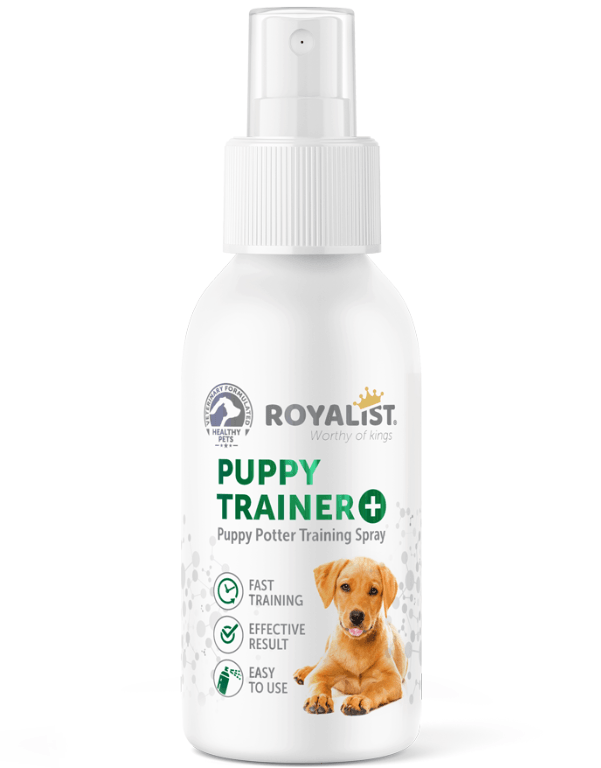Royalist Puppy Trainer Köpek Çiş Eğitim Spreyi 100 ml