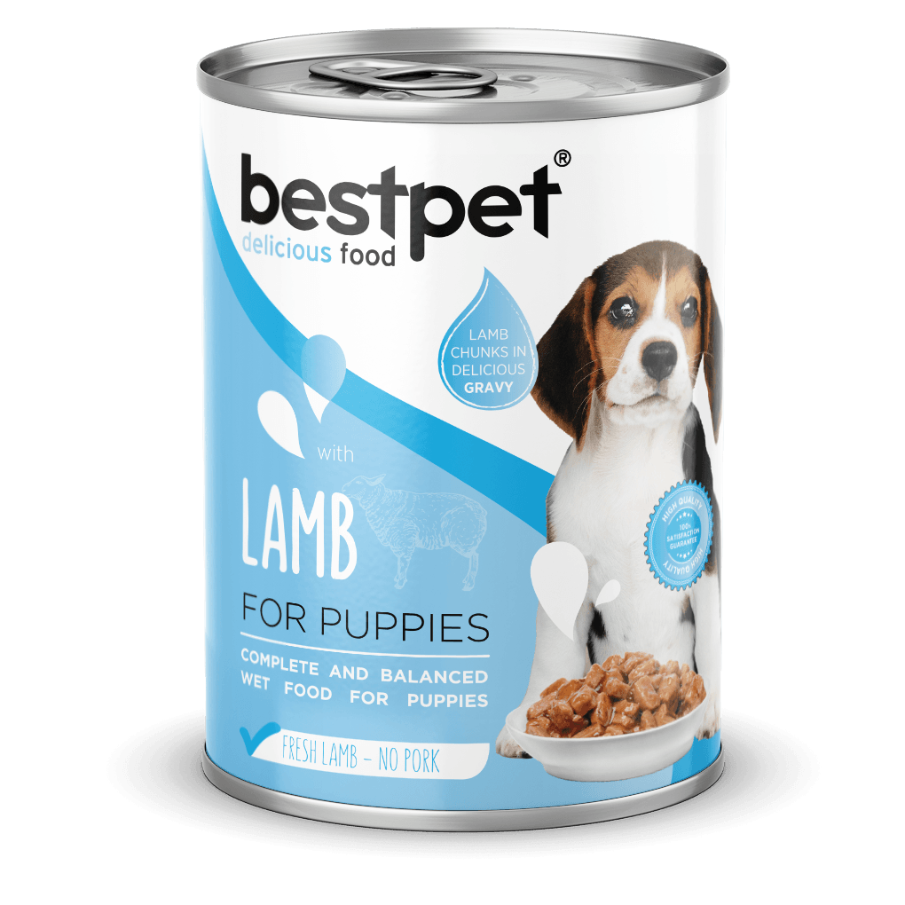 Bestpet Kuzu Etli Yavru Köpek Konservesi 400 gr