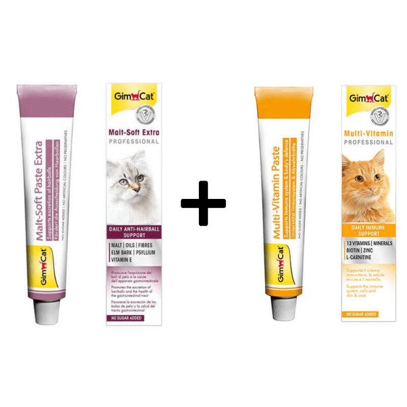 GimCat Malt Soft Extra 100 Gr + Multi Vitamin 100 Gr Kedi Macunu