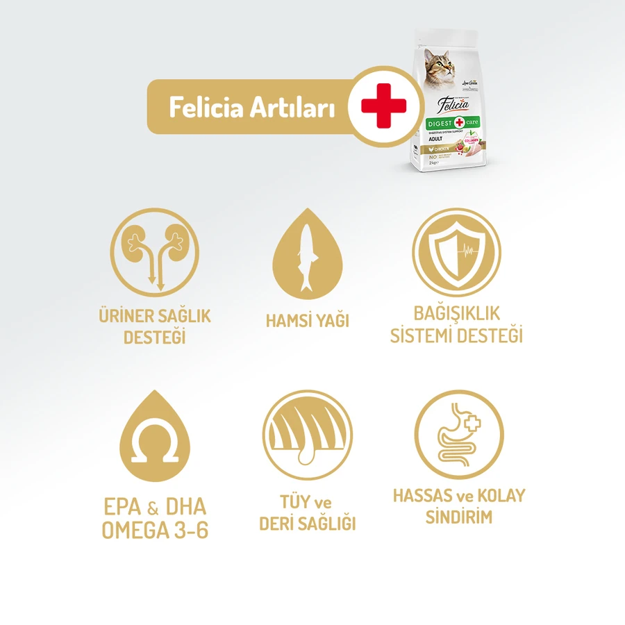 Felicia Kolajen Destekli Hipoalerjenik Tavuklu Yetişkin Kedi Maması 12 kg