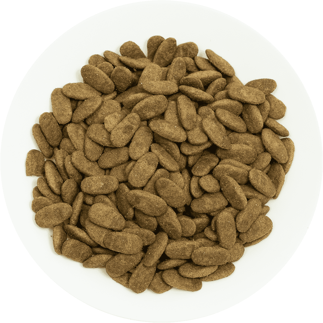 Prochoice Proderma Kuzulu ve Pirinçli Yetişkin Köpek Maması 18 Kg