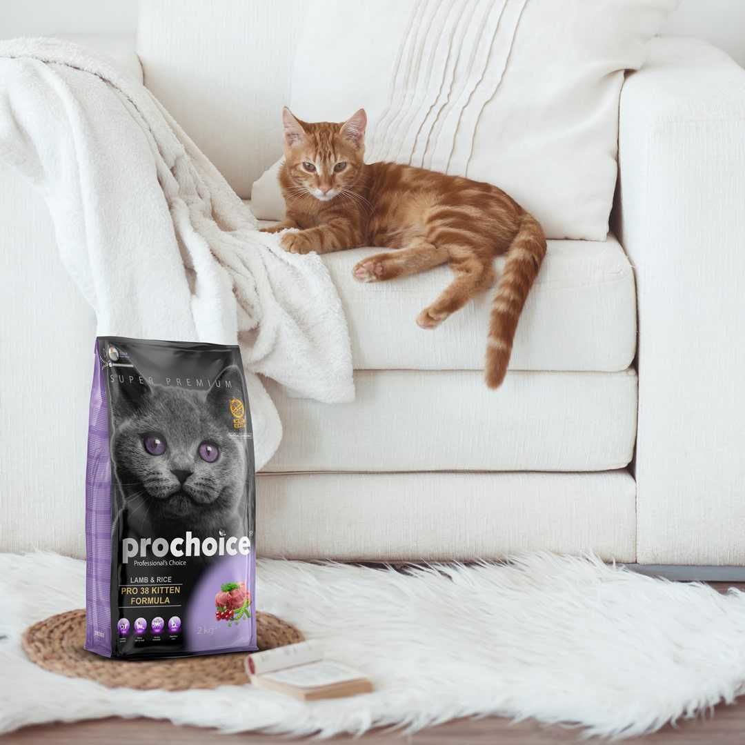 Prochoice Pro 38 Kitten Kuzu Eti ve Pirinçli Yavru Kedi Maması 15 kg