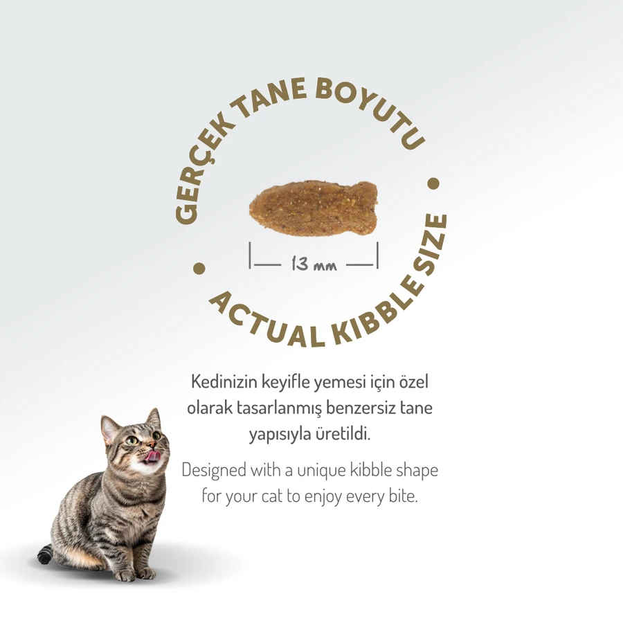 Felicia 12 Kg Kolajenli Somonlu Az Tahıllı Yetişkin Kedi Maması