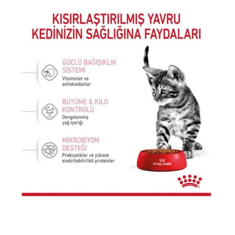 Royal Canin Kitten Sterilised Yavru Kısırlaştırılmış Kedi Maması 2 kg