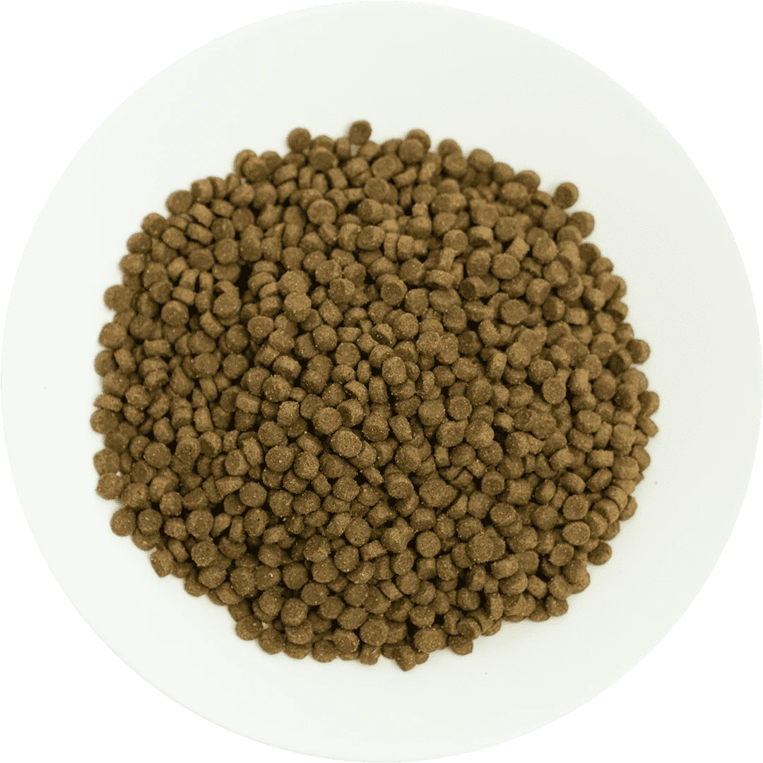 Prochoice Pro 38 Kitten Kuzu Eti ve Pirinçli Yavru Kedi Maması 15 kg