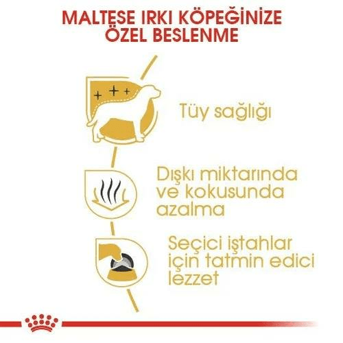 Royal Canin Maltese Adult Köpek Maması 1,5 Kg