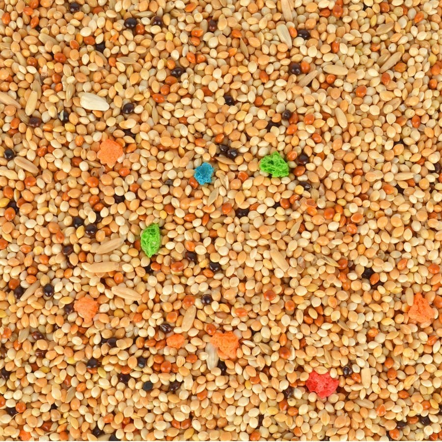 Quik Gurme Muhabbet Yemi 500 gr (Kraker Hediyeli)