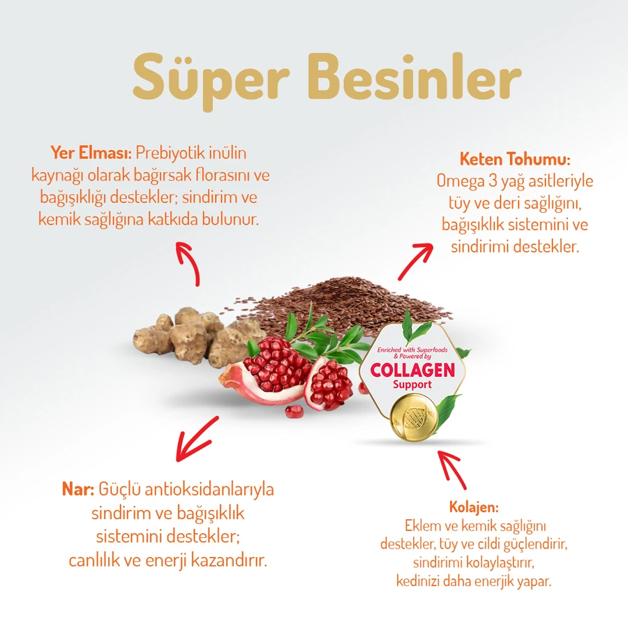 Felicia Kolajen Destekli Hipoalerjenik Somonlu Kısırlaştırılmış Yetişkin Kedi Maması 12 Kg