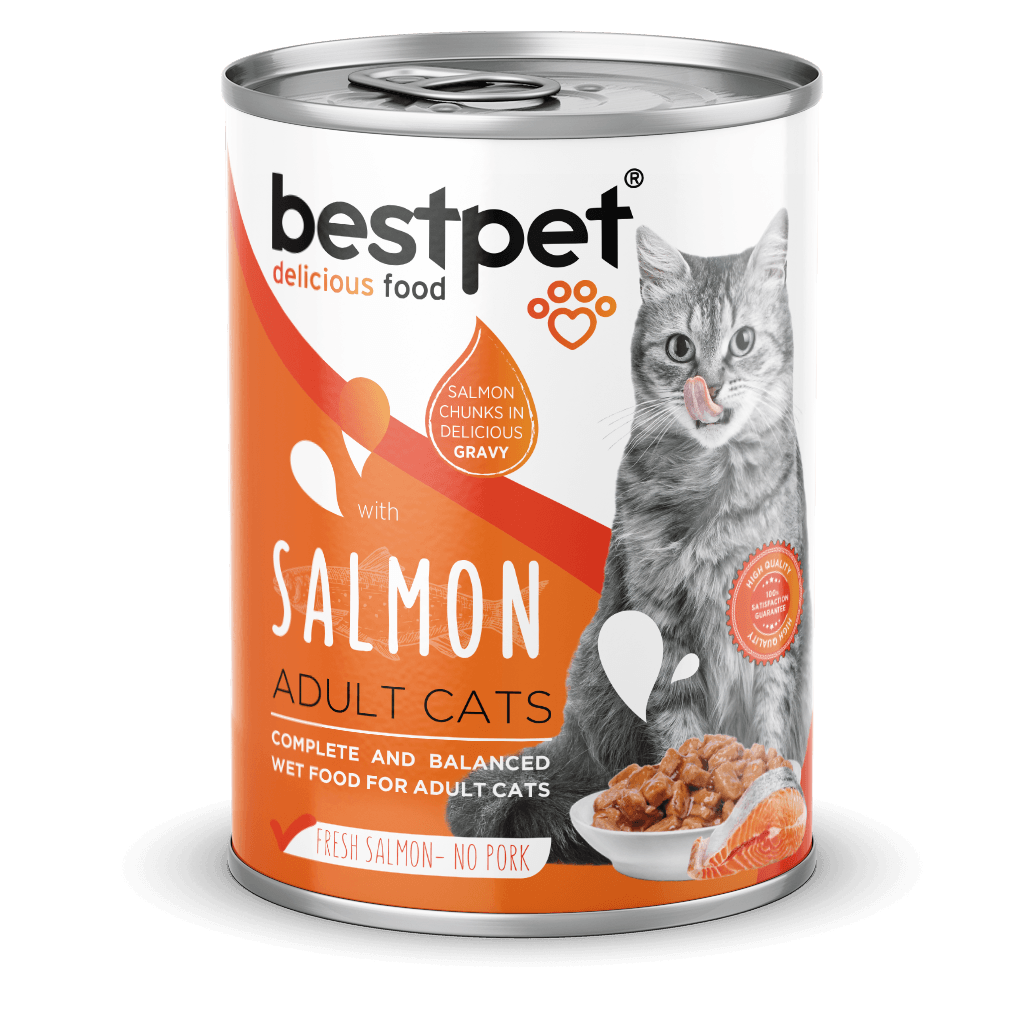 Bestpet Somon Balıklı Yetişkin Konserve Kedi Maması 400 gr