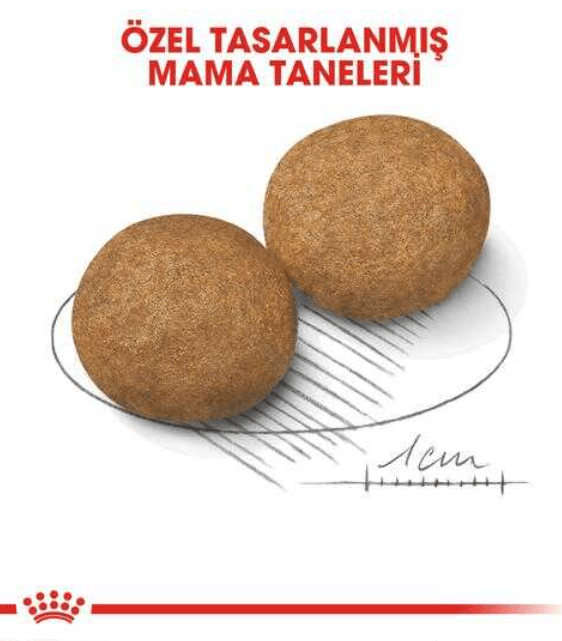 Royal Canin Medium Adult Orta Irk Yetişkin Köpek Maması 15 kg