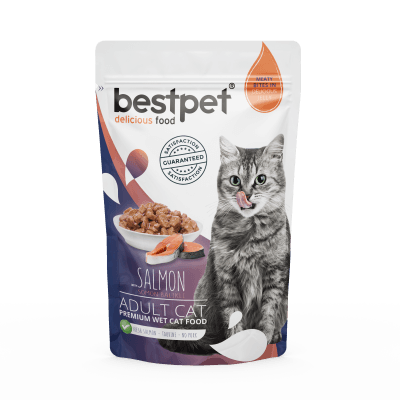 Bestpet Somonlu Yetişkin Yaş Kedi Maması 85 gr