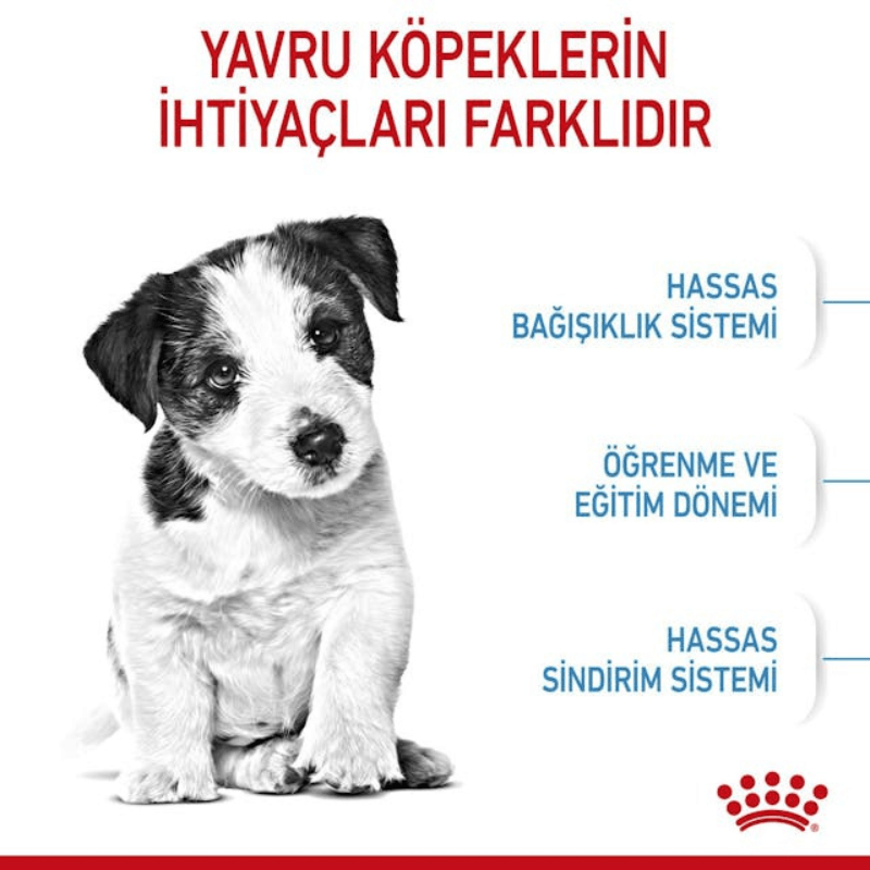 Royal Canin Mini Puppy Yavru Köpek Maması 2 kg