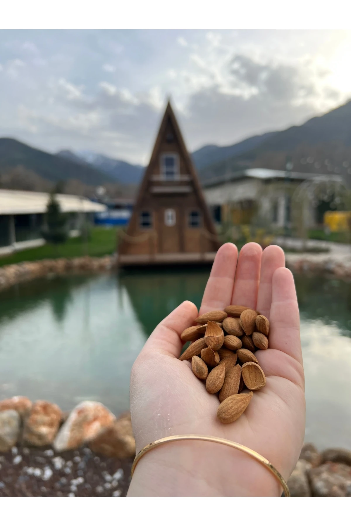 İç Badem - Taze Badem İçi - 750 Gr -