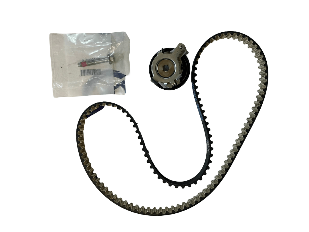 Ford Focus III/Fiesta VI/B-Max 1.0 Triger Seti | DAYCO KBIO03 Triger Seti 