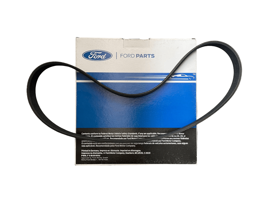 Ford Focus 2012-2017 (Benzinli) V Kayışı Orijinal | FOMOCO CN1Q 6C301 AA - 6 PK 1030