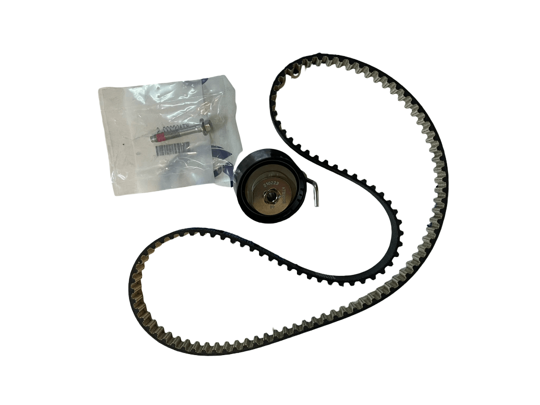 Ford Focus III/Fiesta VI/B-Max 1.0 Triger Seti | DAYCO KBIO03 Triger Seti 