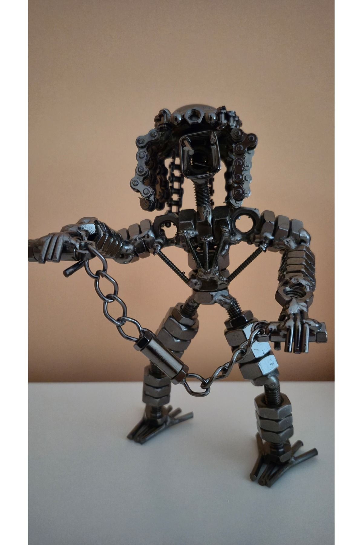 Metal Robot Biblo
