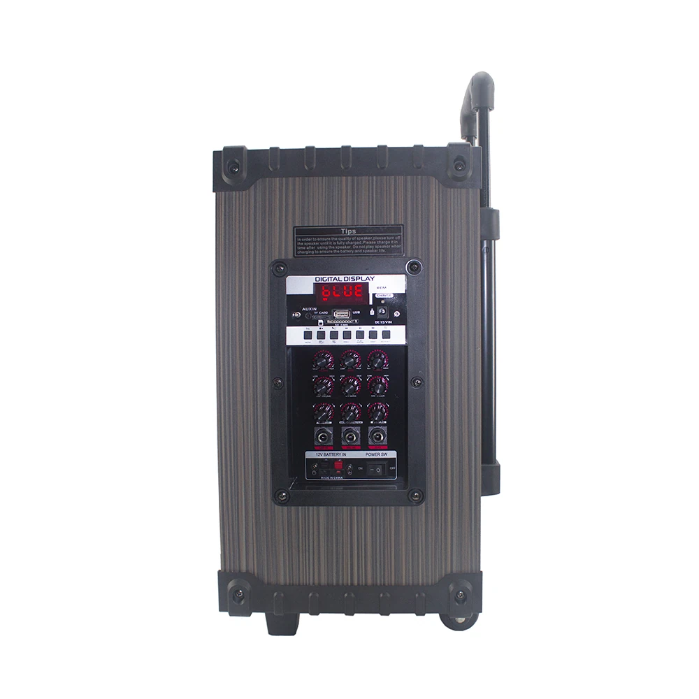 Ecruz LT-910 Dijital LED Göstergeli FM Radyolu Mikrofonlu Gitar Girişli TWS 10 inç Stereo Bass Kablosuz Karaoke Hoparlör