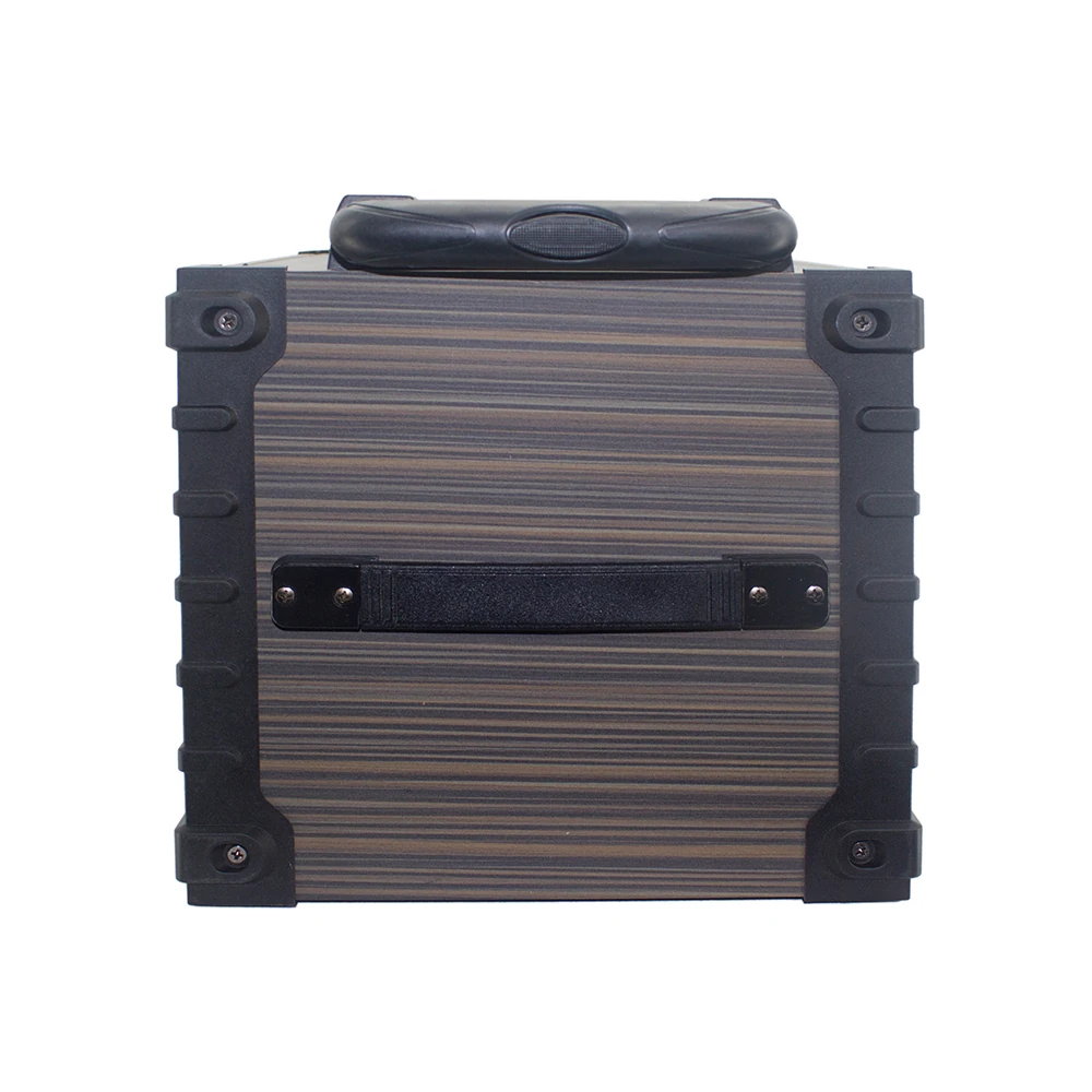 Ecruz LT-908 Dijital LED Göstergeli FM Radyolu Mikrofonlu TWS 8 inç Stereo Bass Kablosuz Karaoke Hoparlör