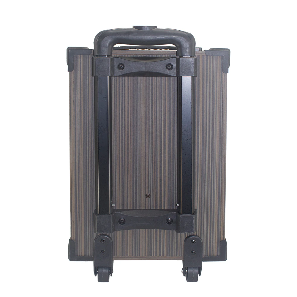 Ecruz LT-910 Dijital LED Göstergeli FM Radyolu Mikrofonlu Gitar Girişli TWS 10 inç Stereo Bass Kablosuz Karaoke Hoparlör