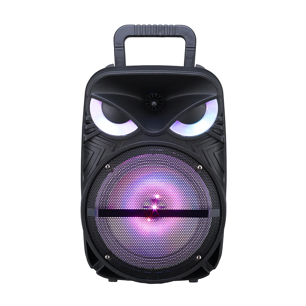 Ecruz PK-17 FM Radyolu Mikrofonlu RGB TWS 8 inç Stereo Bass Kablosuz Karaoke Hoparlör