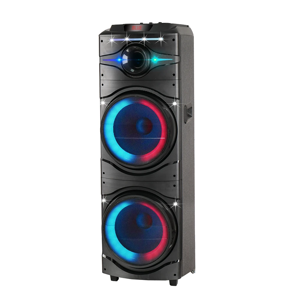 Ecruz GD-2016 Dijital LED Göstergeli FM Radyolu Mikrofonlu RGB TWS Çift 12 inç Stereo Bass Kablosuz Karaoke Hoparlör