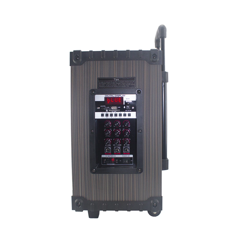 Ecruz LT-908 Dijital LED Göstergeli FM Radyolu Mikrofonlu TWS 8 inç Stereo Bass Kablosuz Karaoke Hoparlör