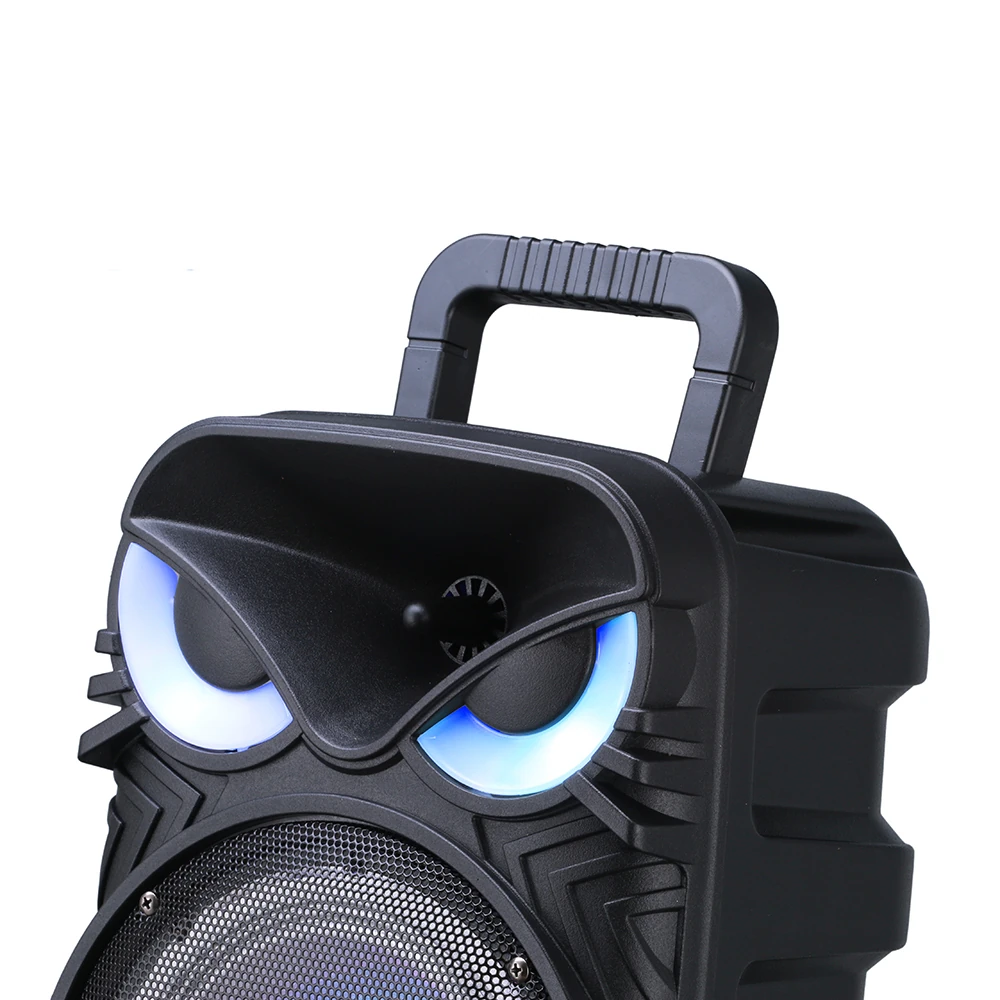 Ecruz PK-17 FM Radyolu Mikrofonlu RGB TWS 8 inç Stereo Bass Kablosuz Karaoke Hoparlör