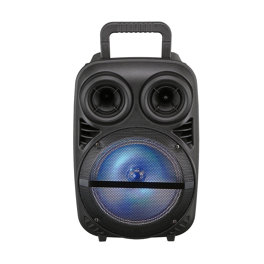 Ecruz PK-15 FM Radyolu Mikrofonlu RGB TWS 8 inç Stereo Bass Kablosuz Karaoke Hoparlör