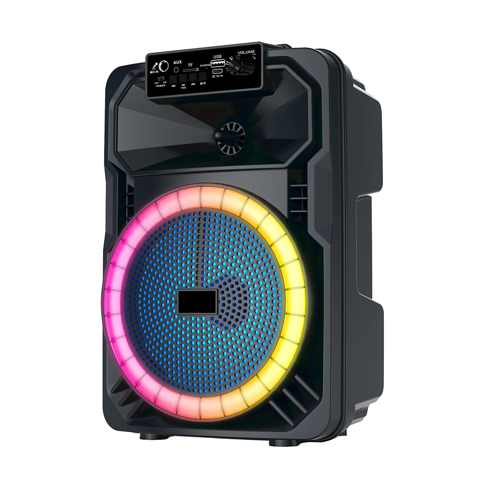 Ecruz GD-893 Mikrofonlu RGB TWS 8 inç Stereo Bass Kablosuz Karaoke Hoparlör