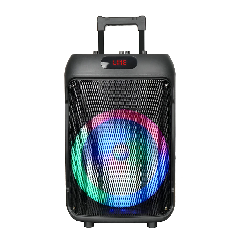 Ecruz GD-1203 Dijital LED Göstergeli FM Radyolu Mikrofonlu RGB TWS 12 inç Stereo Bass Kablosuz Karaoke Hoparlör