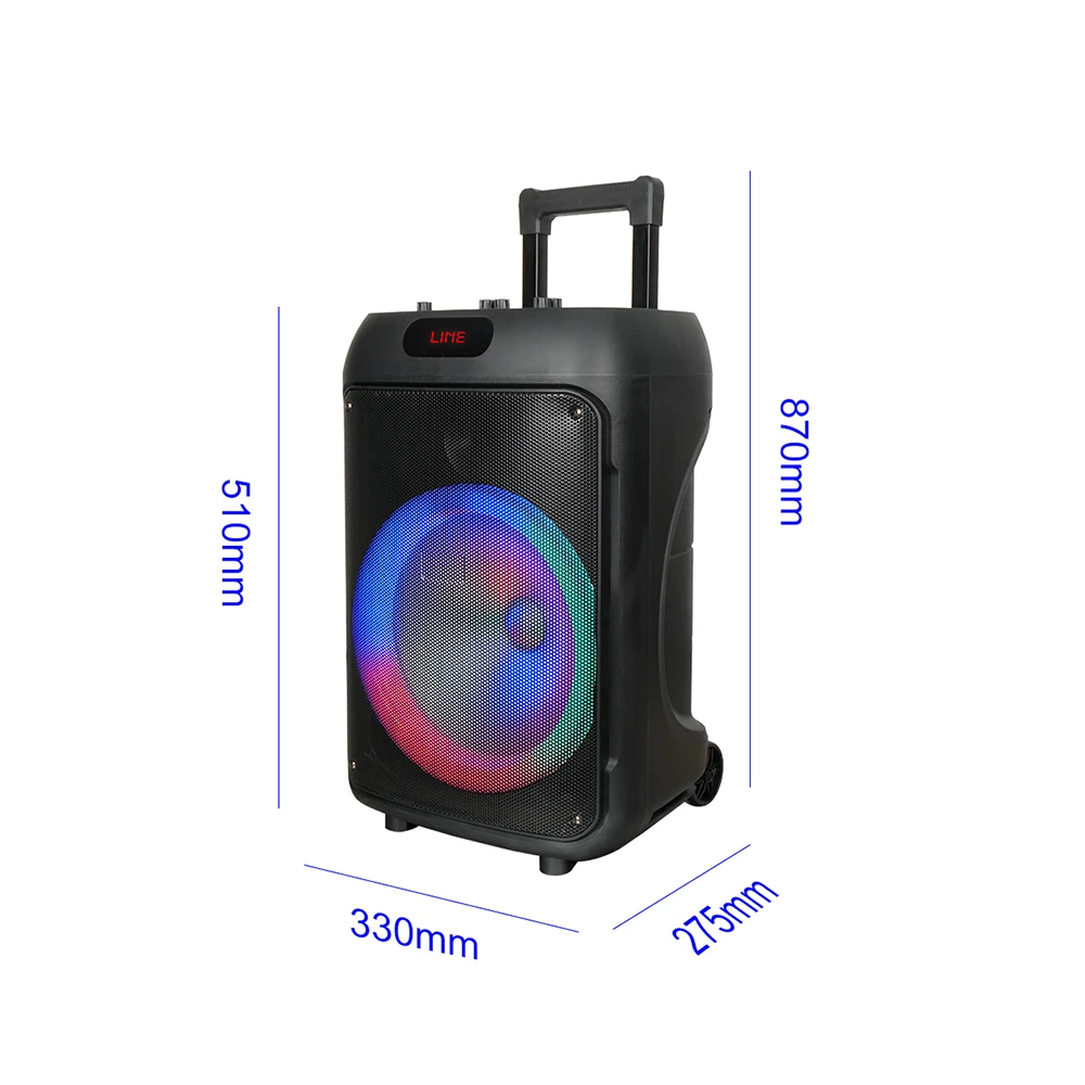 Ecruz GD-1203 Dijital LED Göstergeli FM Radyolu Mikrofonlu RGB TWS 12 inç Stereo Bass Kablosuz Karaoke Hoparlör