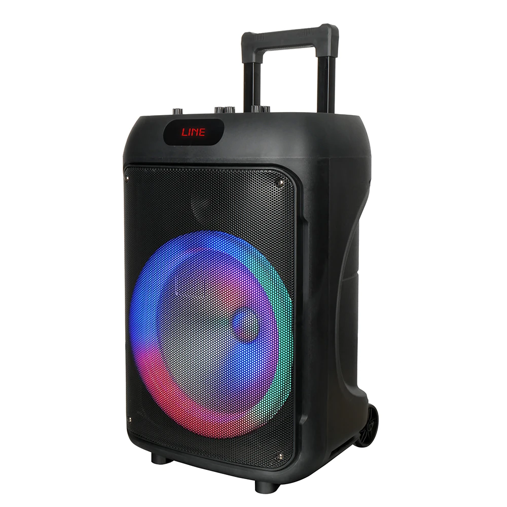 Ecruz GD-1203 Dijital LED Göstergeli FM Radyolu Mikrofonlu RGB TWS 12 inç Stereo Bass Kablosuz Karaoke Hoparlör