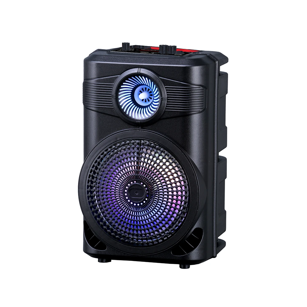 Ecruz GD-904 Dijital LED Göstergeli FM Radyolu Mikrofonlu RGB TWS 8 inç Stereo Bass Kablosuz Karaoke Hoparlör