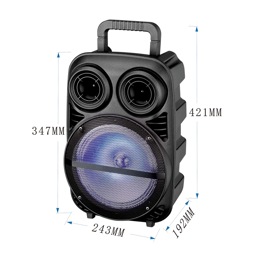 Ecruz PK-15 FM Radyolu Mikrofonlu RGB TWS 8 inç Stereo Bass Kablosuz Karaoke Hoparlör