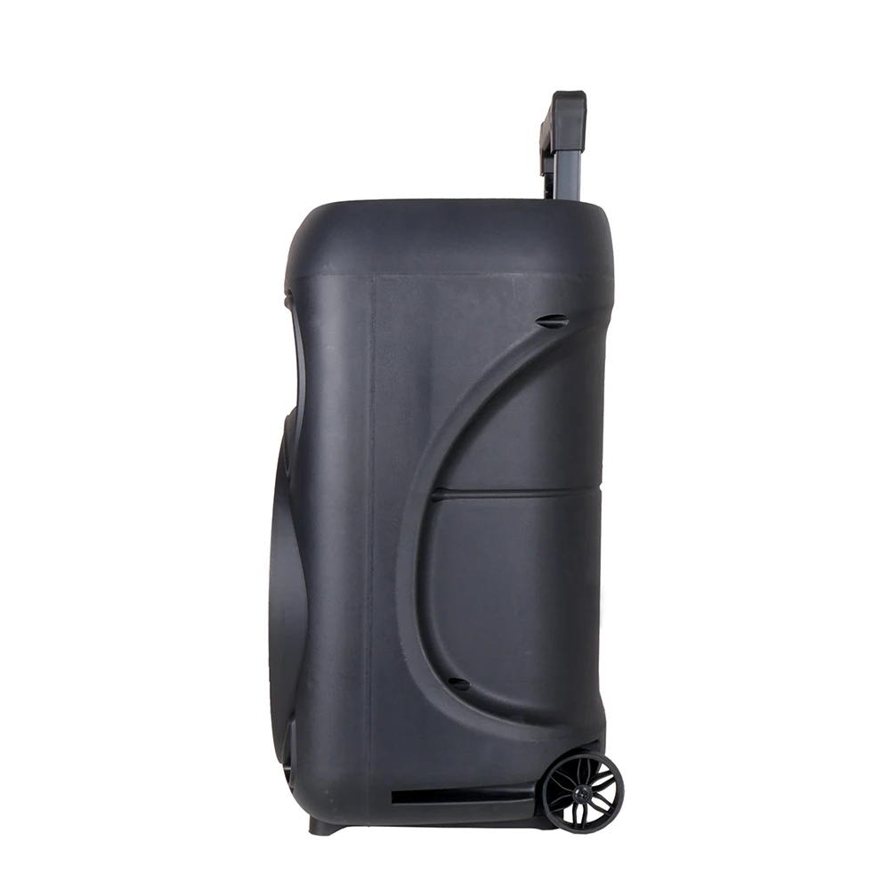 Ecruz GD-1203 Dijital LED Göstergeli FM Radyolu Mikrofonlu RGB TWS 12 inç Stereo Bass Kablosuz Karaoke Hoparlör