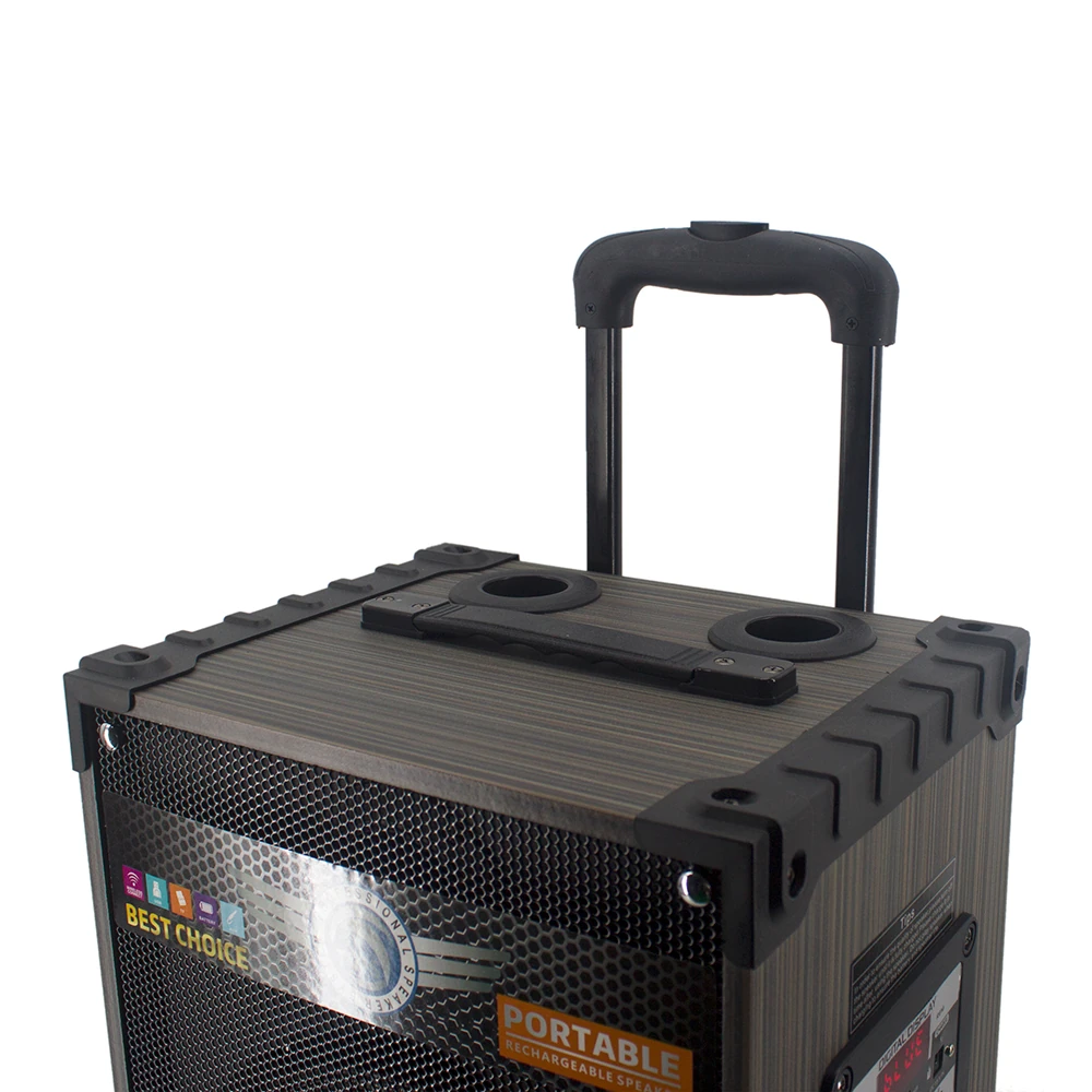 Ecruz LT-910 Dijital LED Göstergeli FM Radyolu Mikrofonlu Gitar Girişli TWS 10 inç Stereo Bass Kablosuz Karaoke Hoparlör