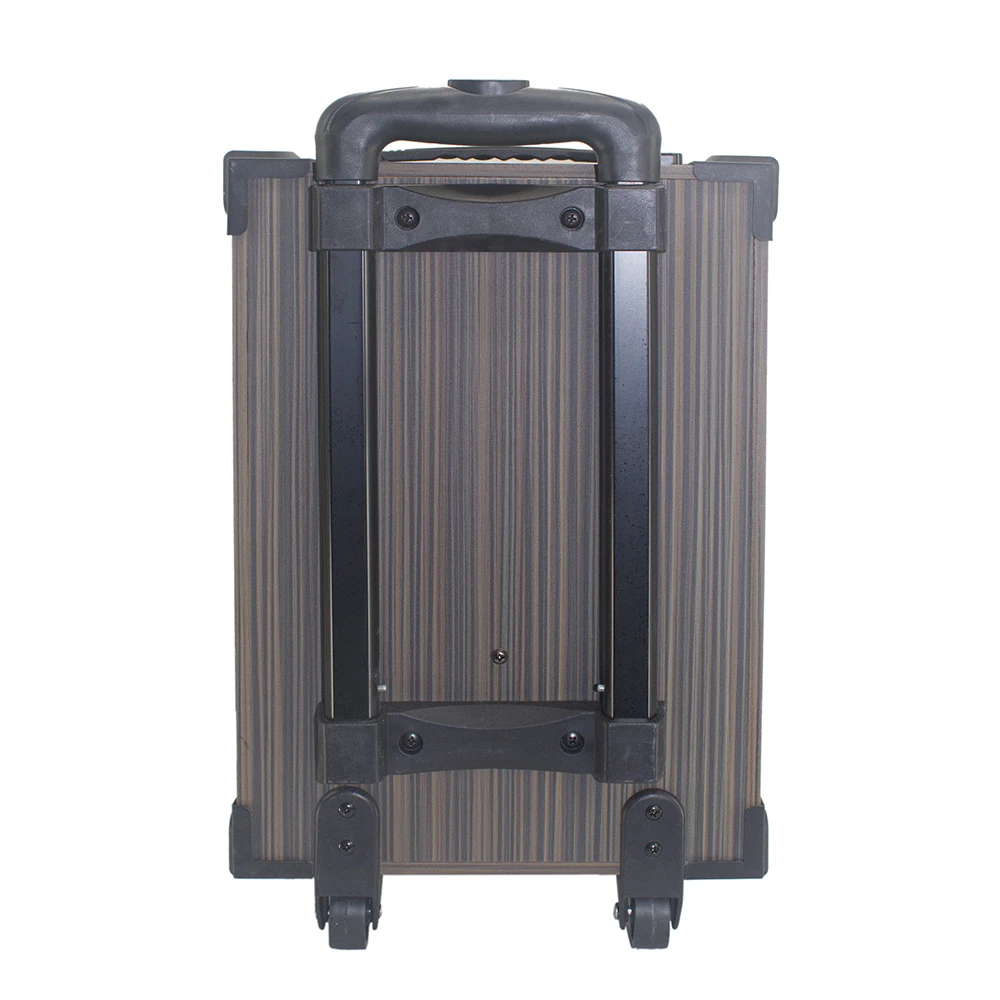 Ecruz LT-908 Dijital LED Göstergeli FM Radyolu Mikrofonlu TWS 8 inç Stereo Bass Kablosuz Karaoke Hoparlör