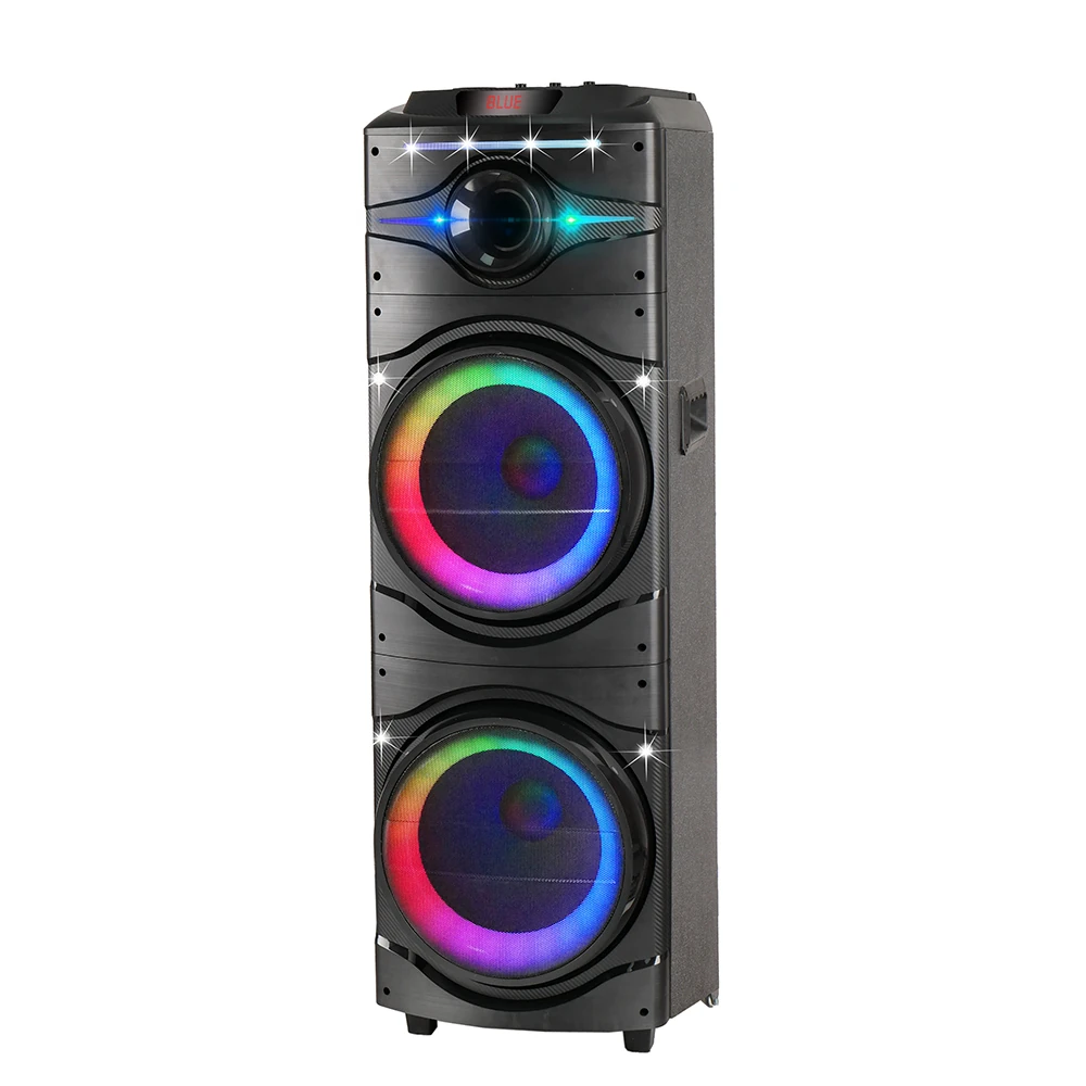 Ecruz GD-2016 Dijital LED Göstergeli FM Radyolu Mikrofonlu RGB TWS Çift 12 inç Stereo Bass Kablosuz Karaoke Hoparlör