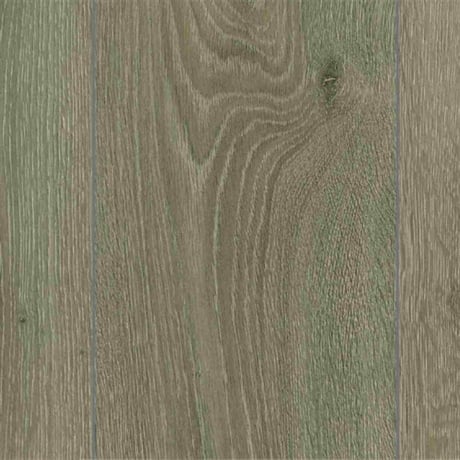 Florpan Prime Golden Gote Parke Derzli