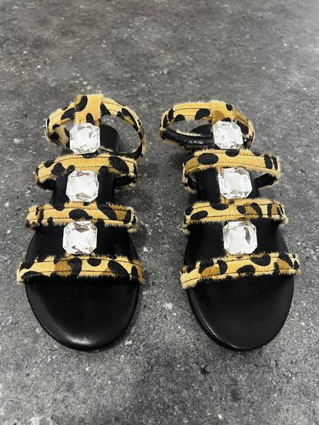 Hola Leopar Mat Taş Detay Kemerli Düz Taban Kadın Sandalet