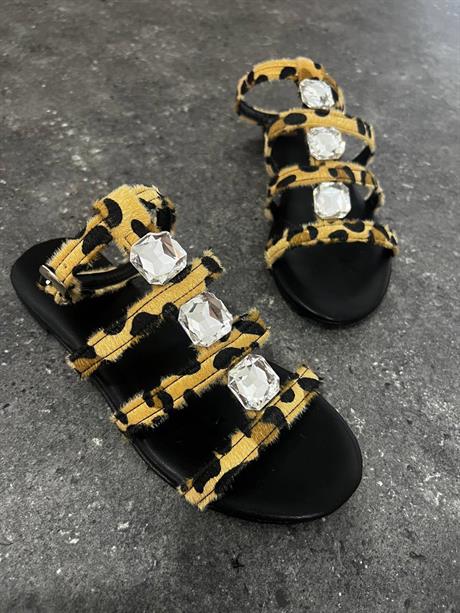 Hola Leopar Mat Taş Detay Kemerli Düz Taban Kadın Sandalet