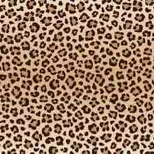 Leopar 