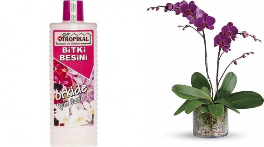 Tropikal Orkide Besini 500 ml Sıvı Bitki Besini