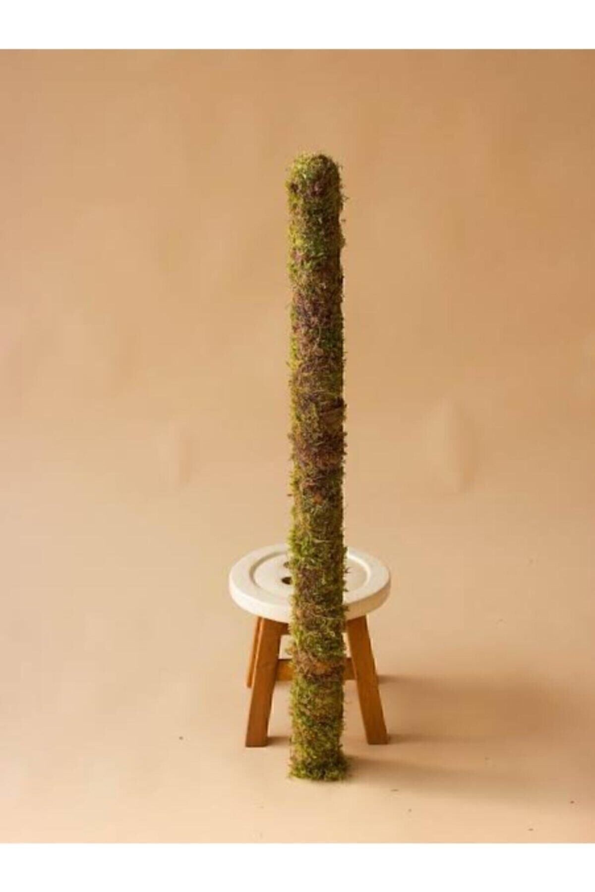 Bitki Destek Çubuğu (yosun Sopası) 60cm