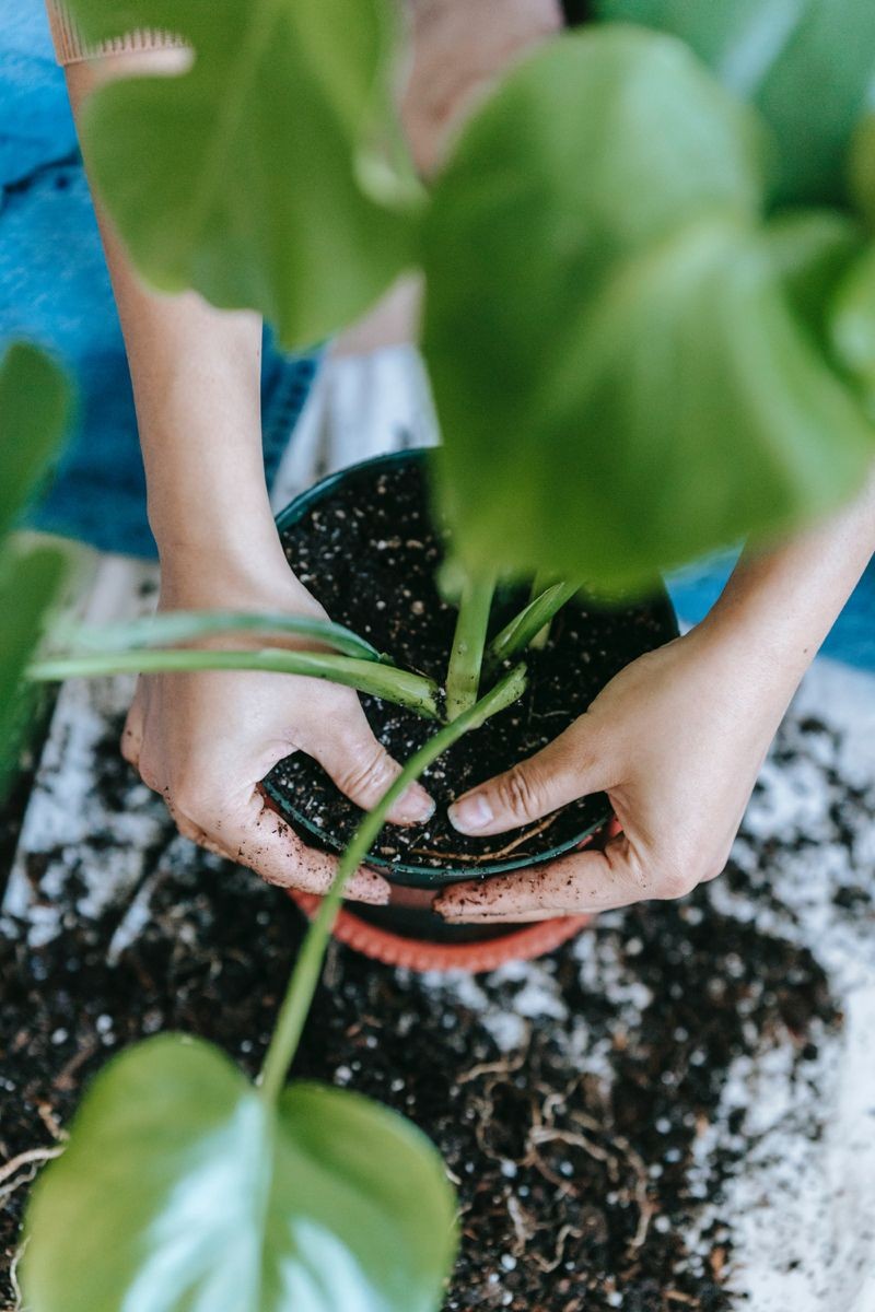 Tropikal 10 lt Bitki Toğrağı- Cocopeat Torf Karışımlı
