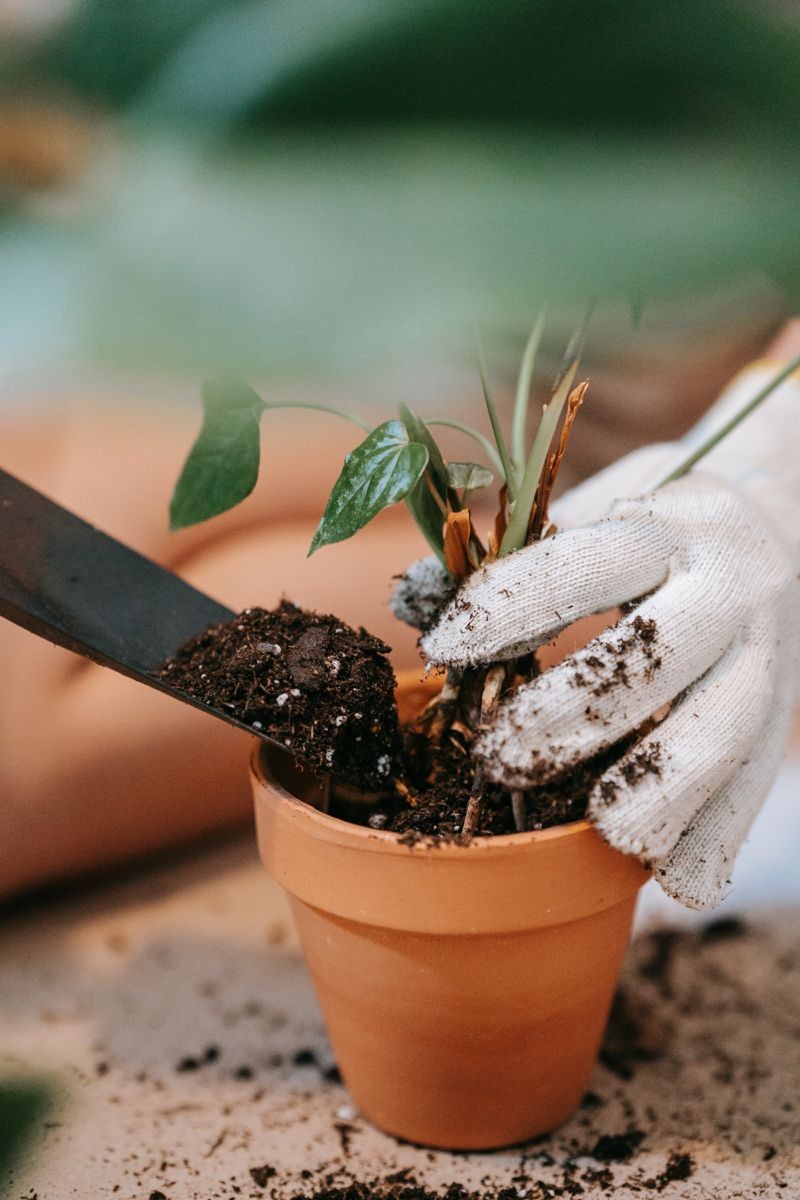 Tropikal 10 lt Bitki Toğrağı- Cocopeat Torf Karışımlı